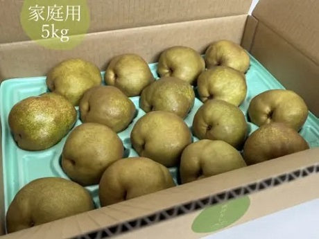 【山形県産】洋梨　家庭用｢ラ･フランス｣5kg(16玉)予約受付中11月上旬より順次発送予定