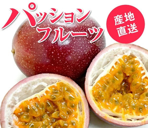 【栃木県産】　　　パッションフルーツ 約1.2kg（バラ詰め・サイズ不揃い）