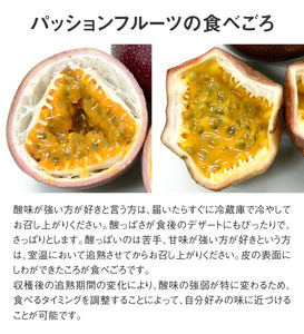 【栃木県産】　　　パッションフルーツ 約1.2kg（バラ詰め・サイズ不揃い）