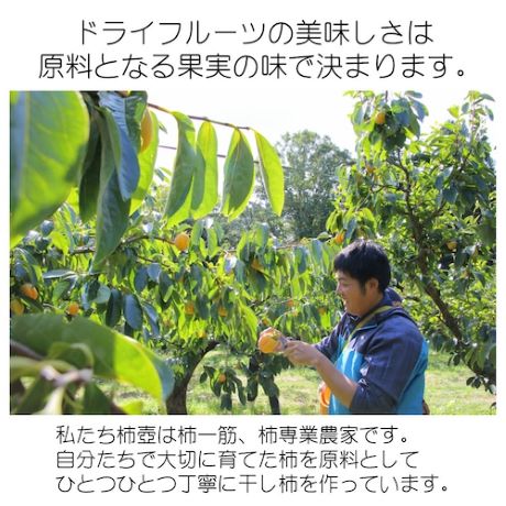 【島根県産】甘柿の干し柿（ドライフルーツ）「わがはいは柿である」