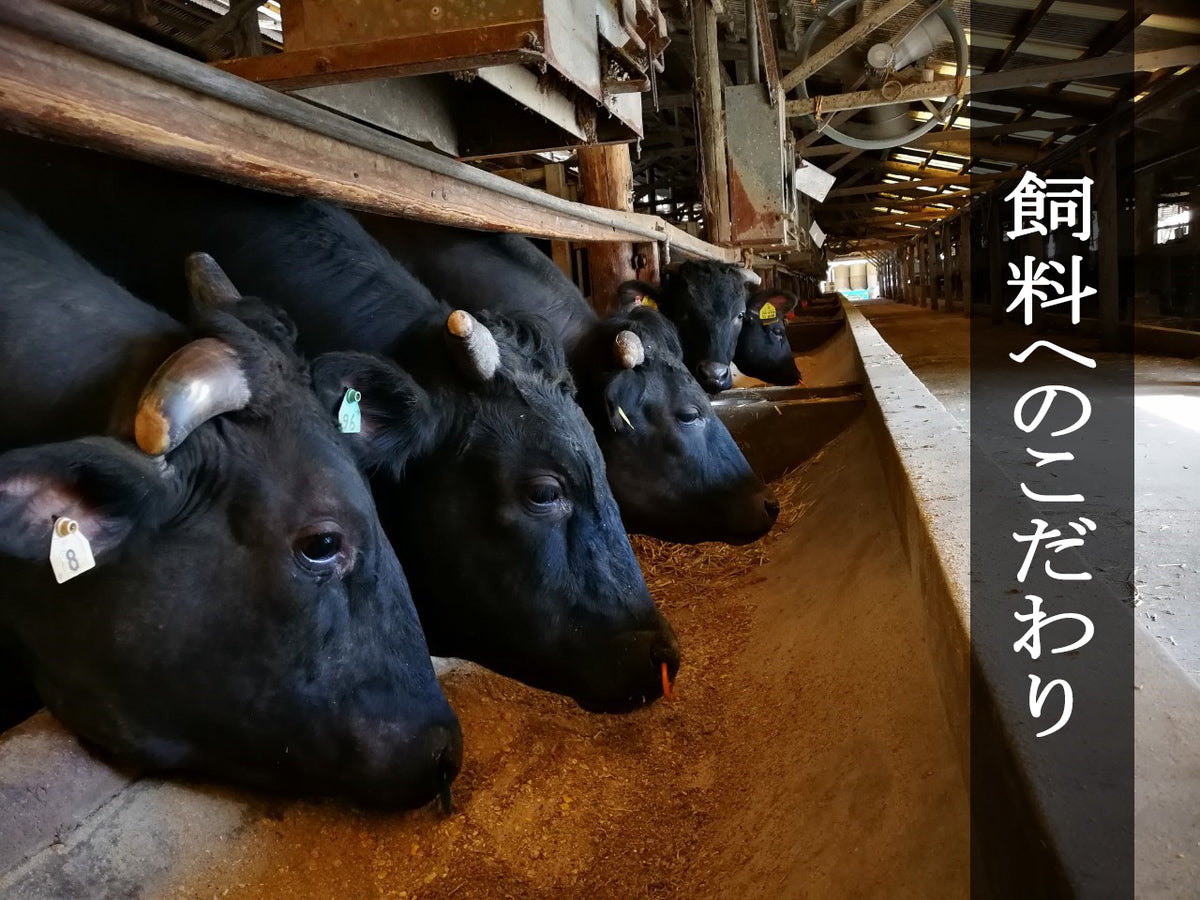 【鹿児島県産】「さつま福永牛」焼肉堪能セット