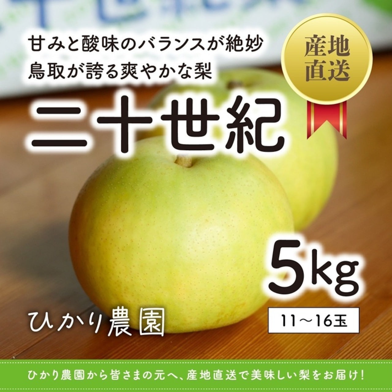 販売終了【鳥取県産】二十世紀梨