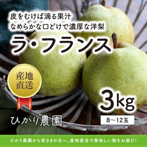 予約受付中【鳥取県産】ラ・フランス