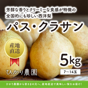 予約受付中【鳥取県産】パス・クラサン
