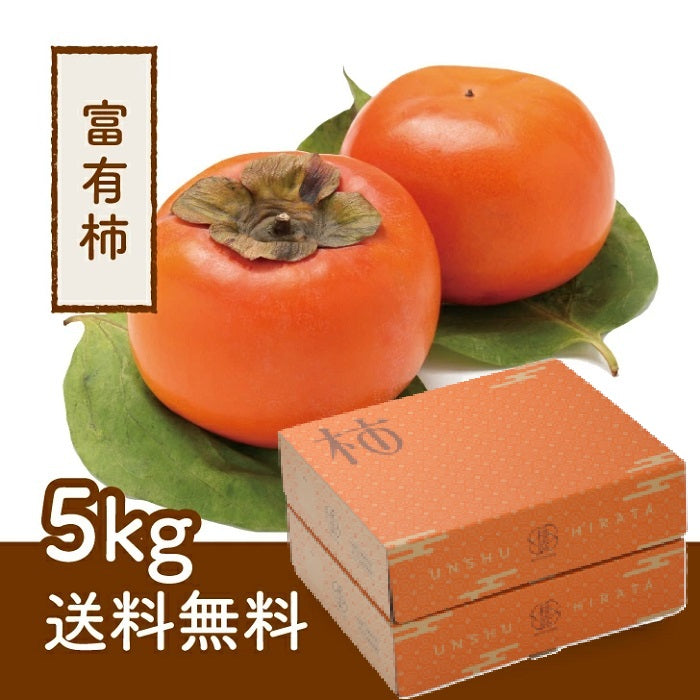 予約受付中　配送料込み！【島根県産】富有柿　限定50箱