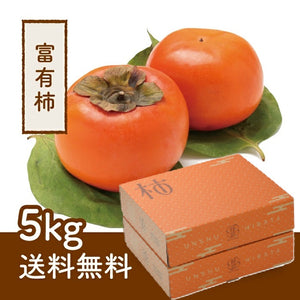 予約受付中　配送料込み！【島根県産】富有柿　限定50箱