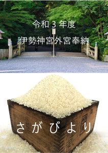 佐賀県産】さがびより – OIKAshop