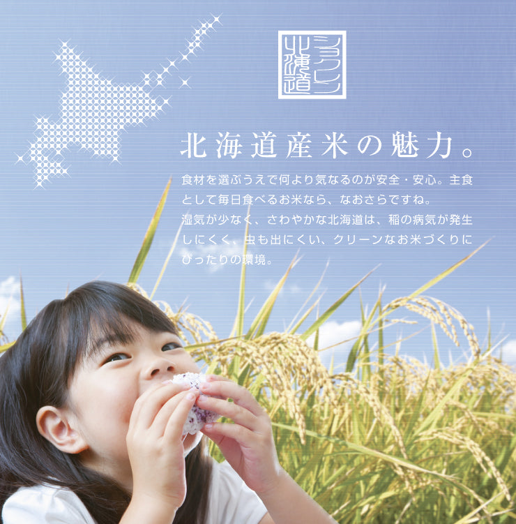 配送料込み！【北海道産】令和7年産 ななつぼし – OIKAshop
