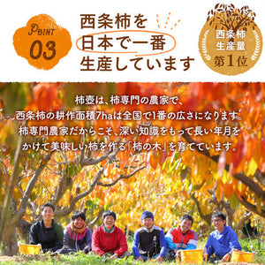 販売終了【島根県産】西条柿　2.5kg（11～14玉）10月下旬より順次発送