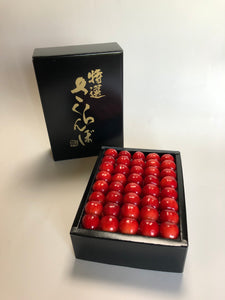 【山形県産】さくらんぼ -紅秀峰- 化粧箱「特秀」2L以上 500g